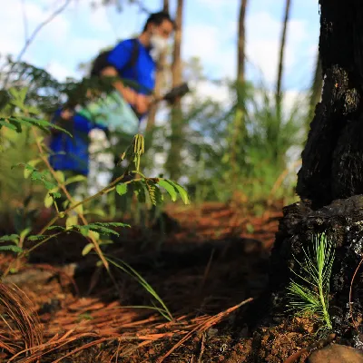 Bosque Central comprometido con la naturaleza y el bienestar de las familias en Aguascalientes