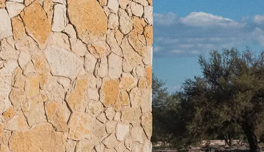 Detalle de piedra de la caseta de los terrenos habitacionales Bosque Central Aguascalientes en contraste con mezquites